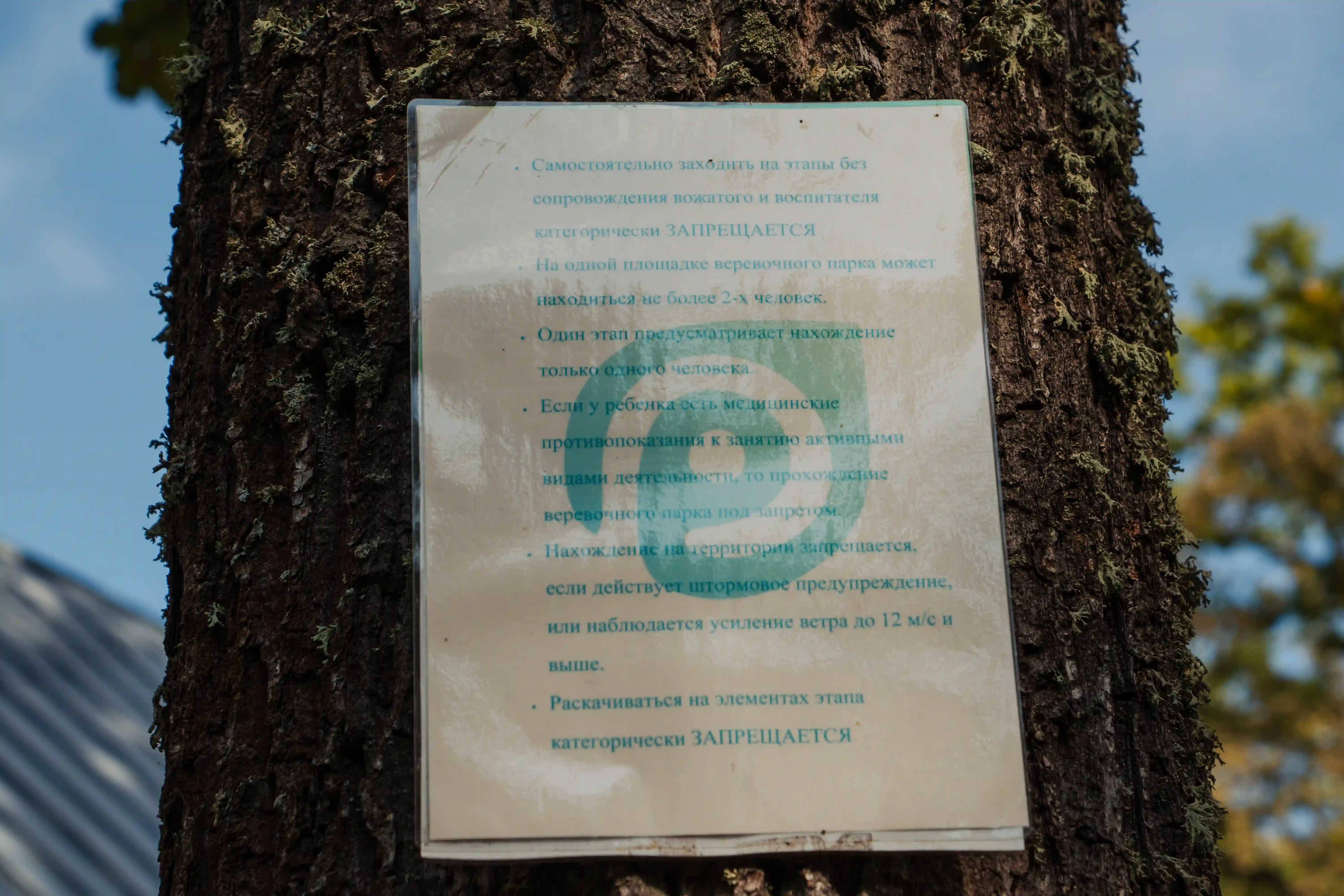 Росинка, инфраструктура