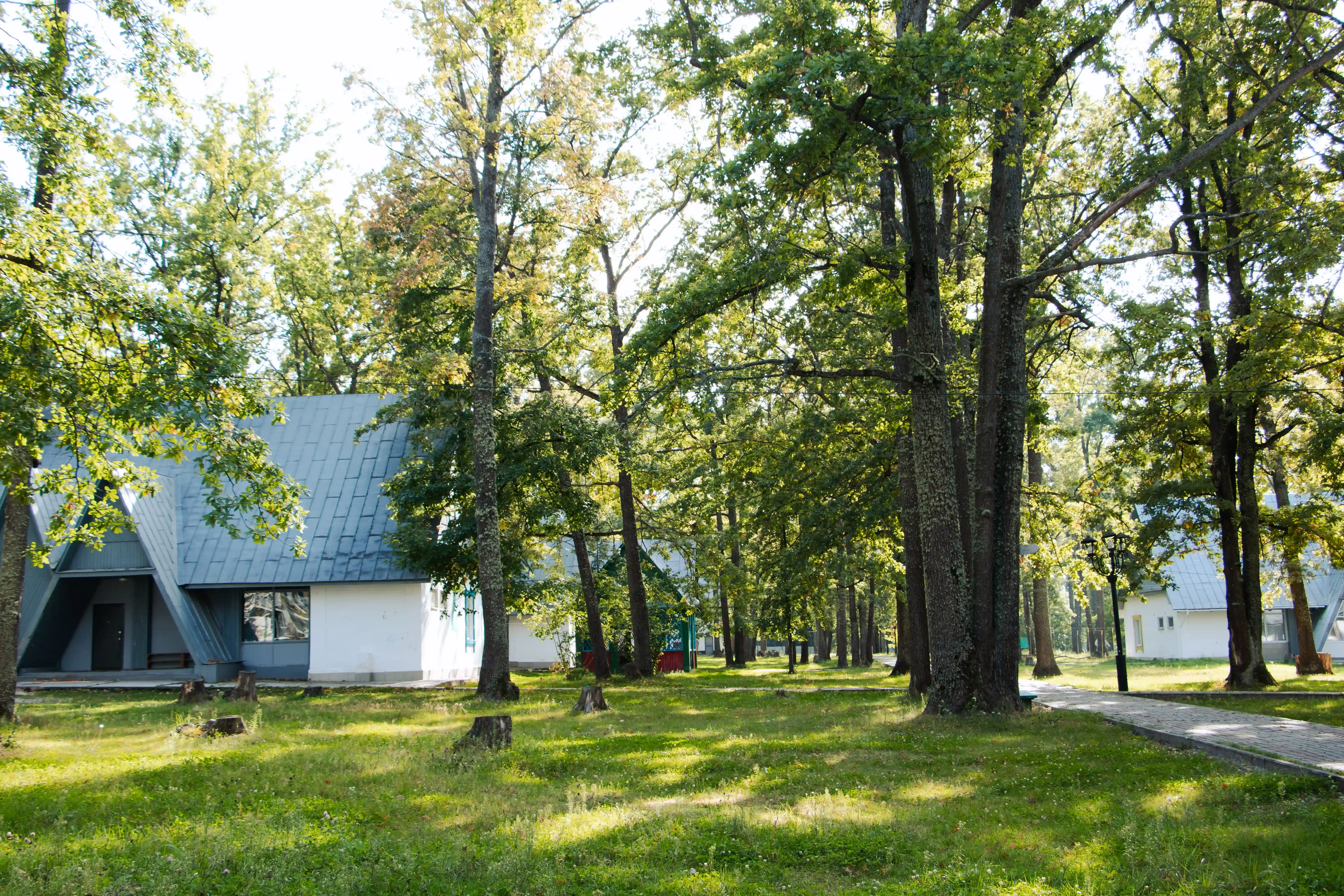 Росинка, инфраструктура