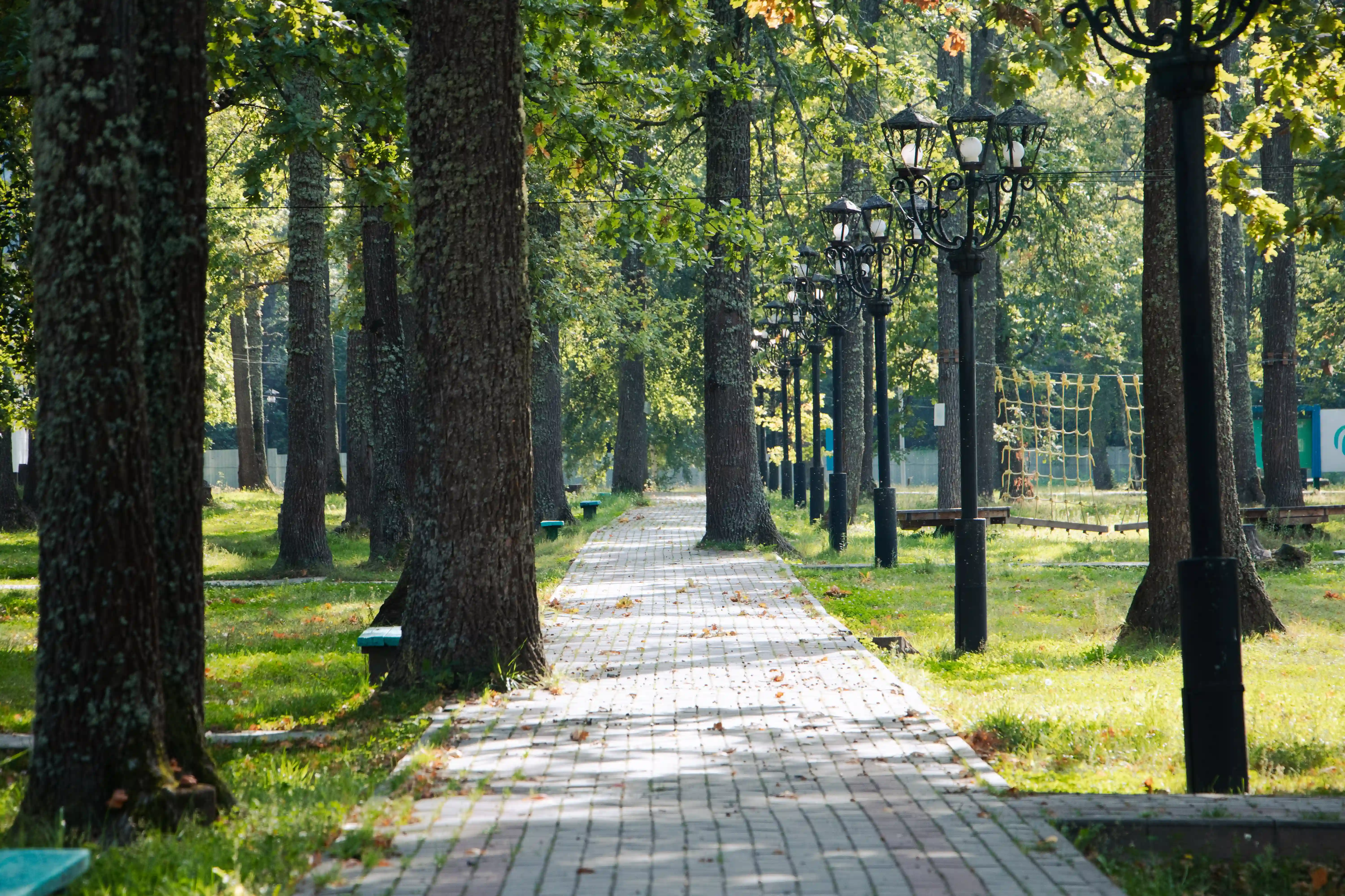 Росинка, инфраструктура