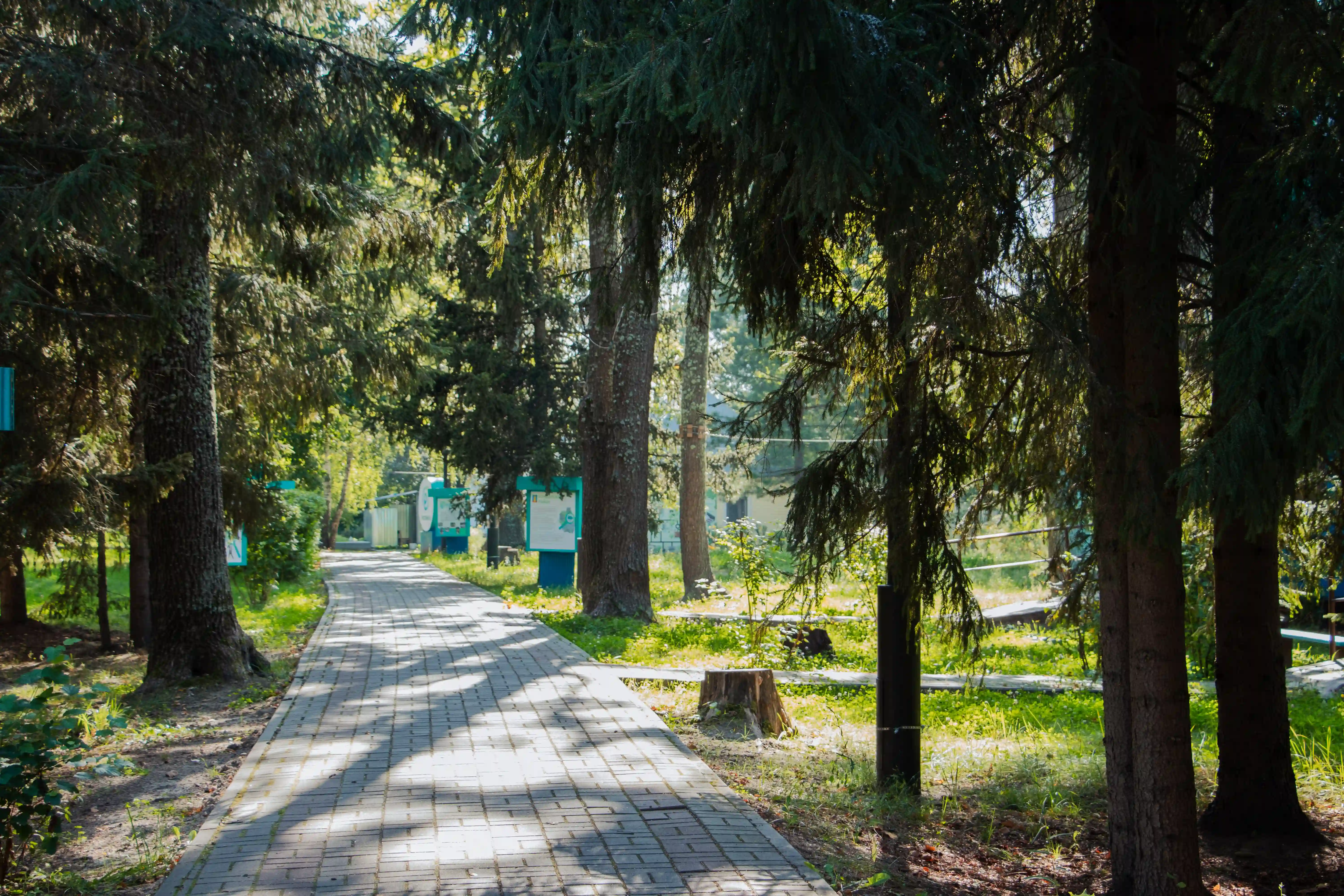 Росинка, инфраструктура