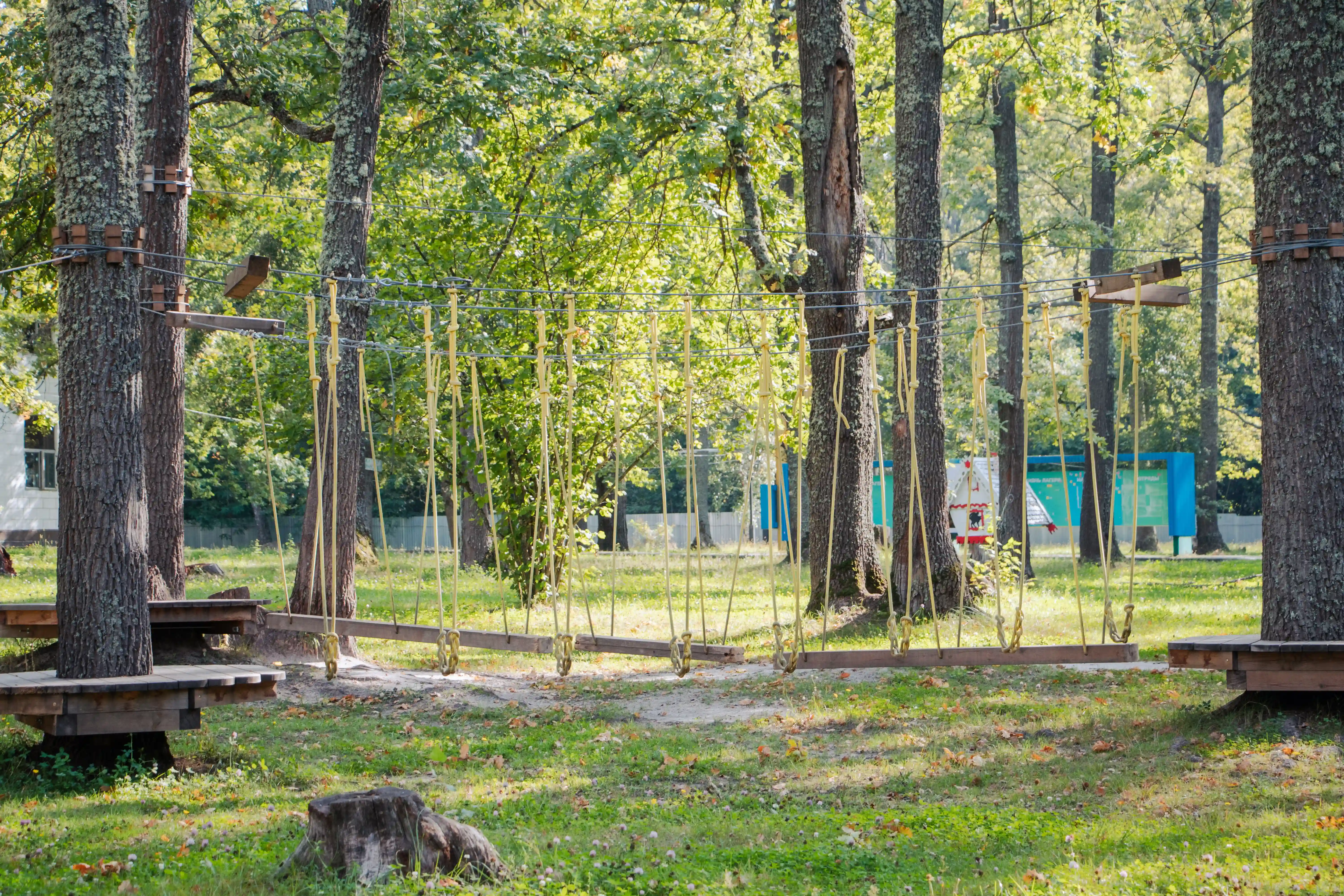 Росинка, инфраструктура