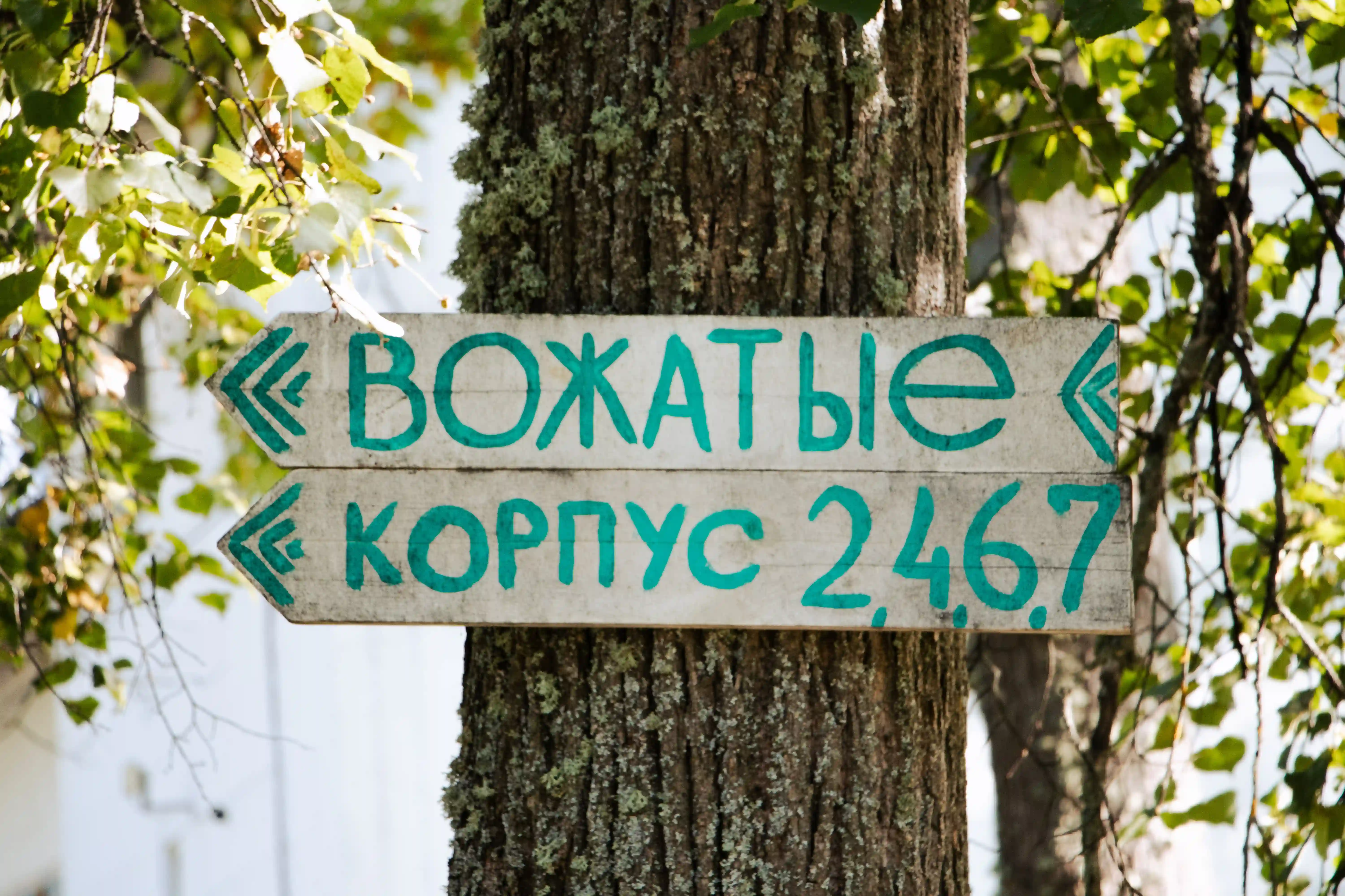 Росинка, инфраструктура