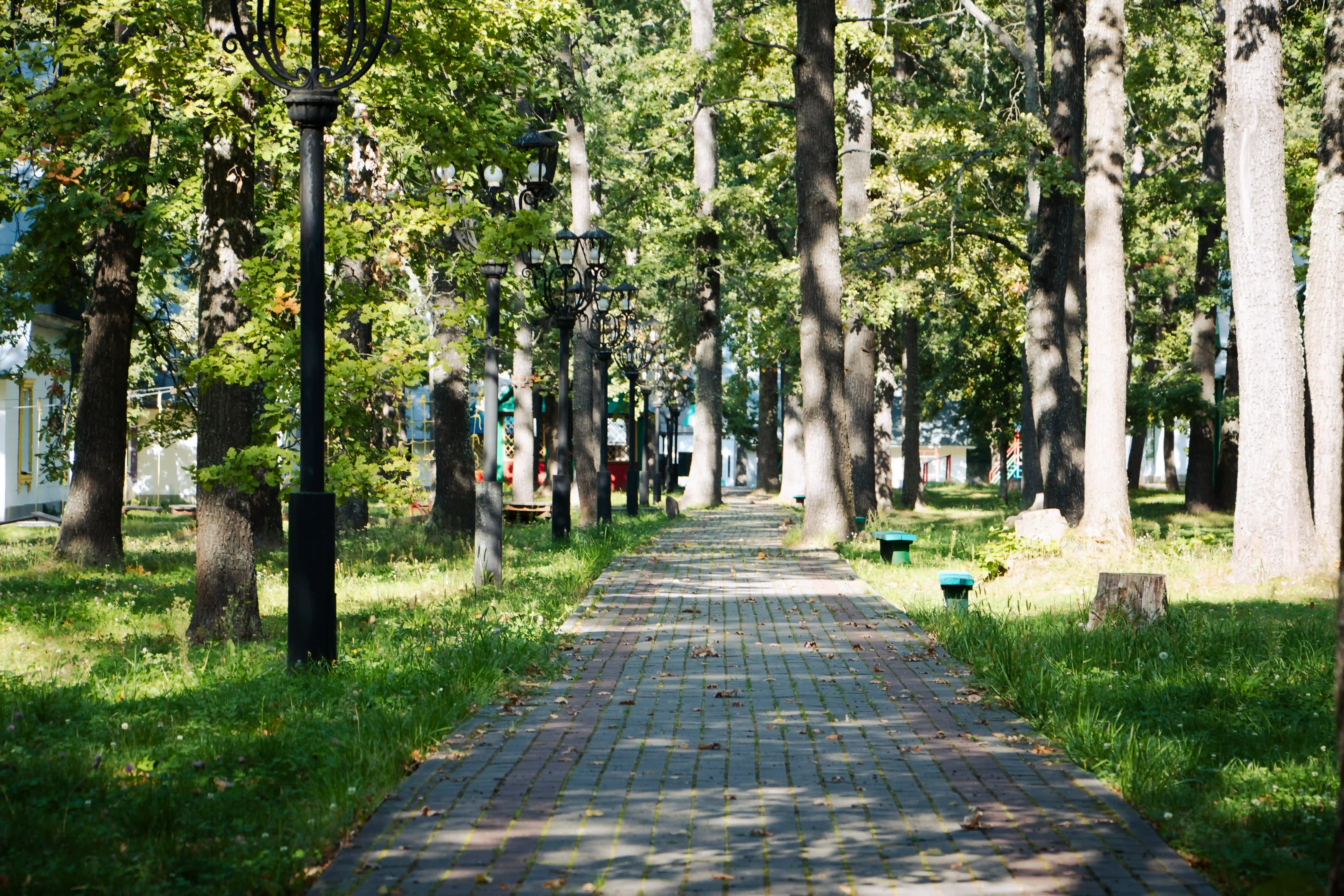 Росинка, инфраструктура